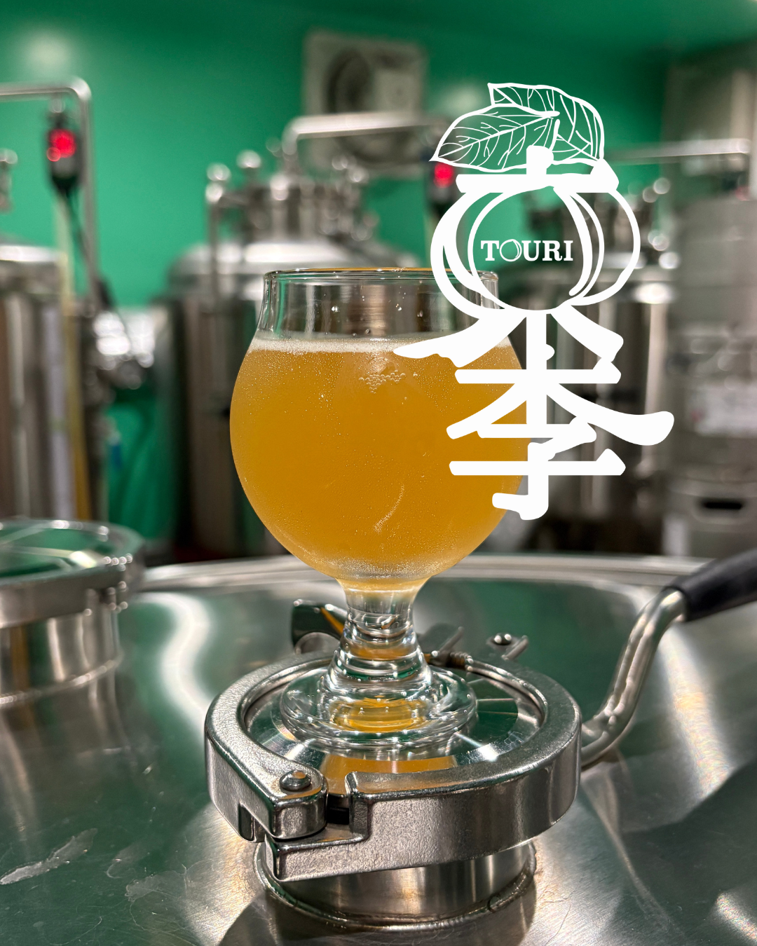 東李 - TOURI